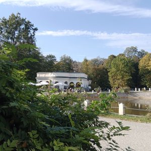 IMG_20231014_141530bzowkaKarolina