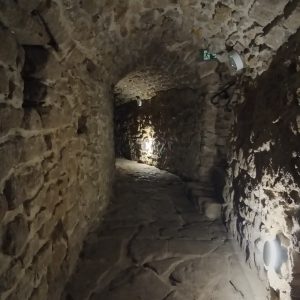 IMG_20231022_093217bzowkaKarolina