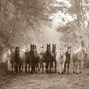 img,gcsi,30A9E615C74E81847B322EE069AAFBA20BC95BD8,mpid,7,maxwidth,1366,maxheight,625